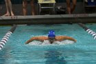 Swimming vs CGA  Wheaton College Swimming & Diving vs Coast Guard Academy. - Photo By: KEITH NORDSTROM : Wheaton, Swimming, diving